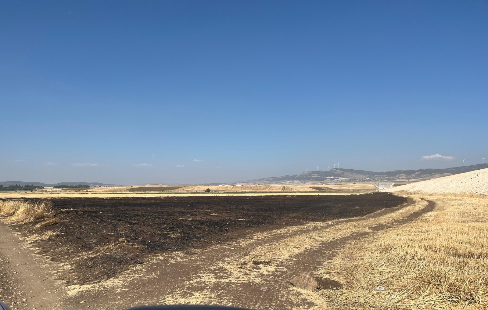 Anız Yakan Şahıs Jandarmadan Kaçamadı! 85 Dönüm Alanı Kül Etti, 47 Bin TL Ceza Yedi!