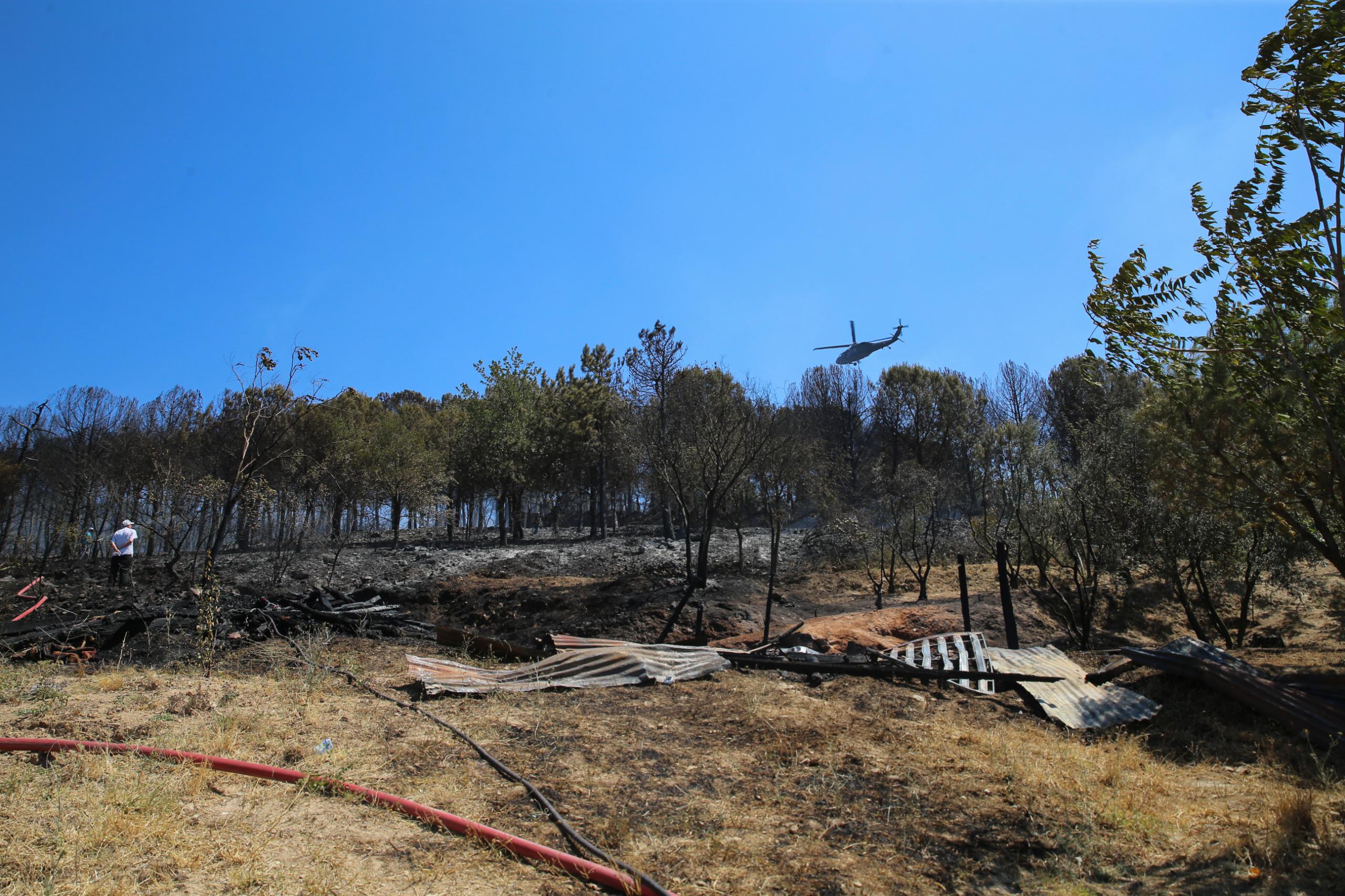 Bursa’da Orman Yangınına Anında Müdahale