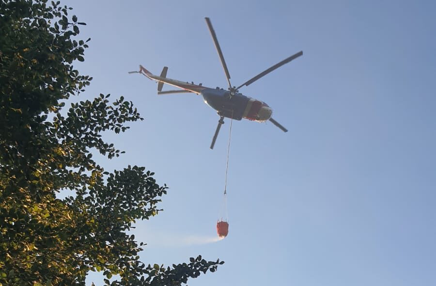 Bursa-Yalova Sınırında Orman Yangını Kontrol Altına Alındı