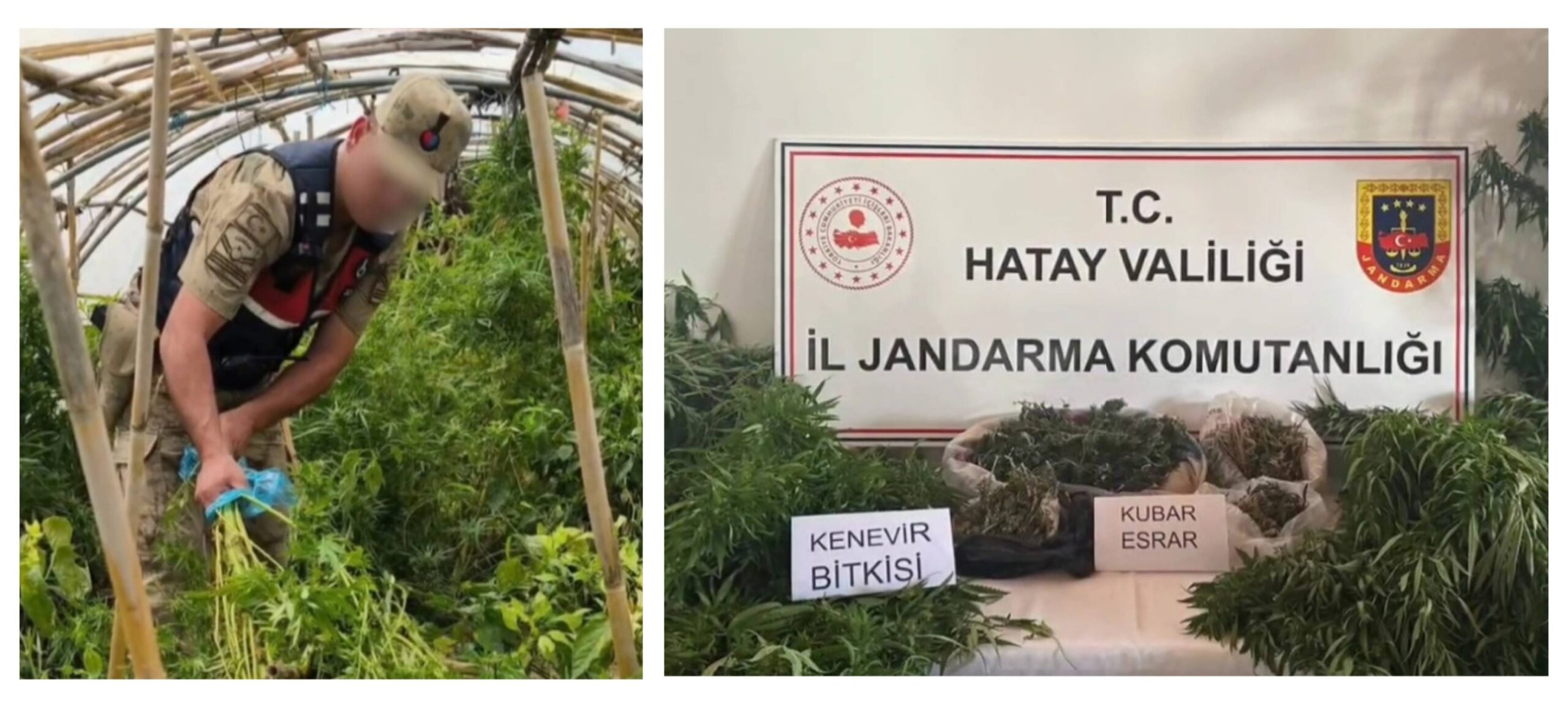 Jandarmadan Samandağ’da Zehir Tacirlerine Darbe