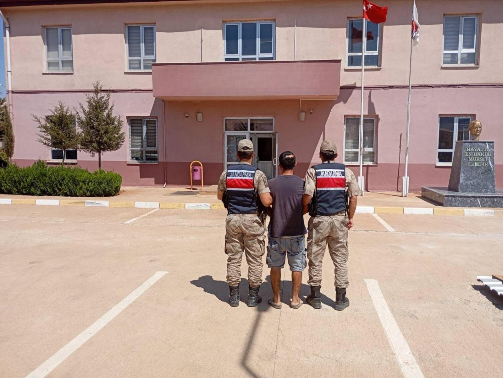 Gaziantep’te Jandarmadan Uyuşturucuya Darbe: 5 Tutuklama, 428 Kök Kenevir Ele Geçirildi!