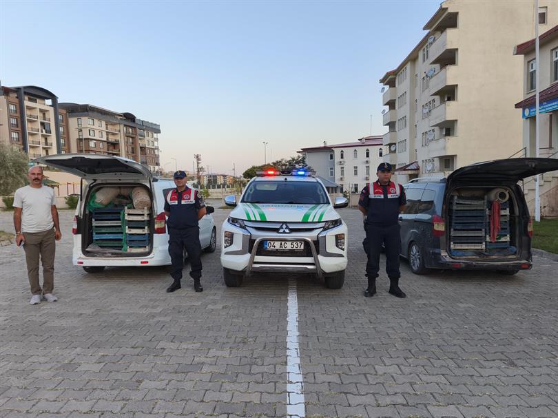 Doğubayazıt’ta Kaçak Kurbağa Avcılarına Operasyon