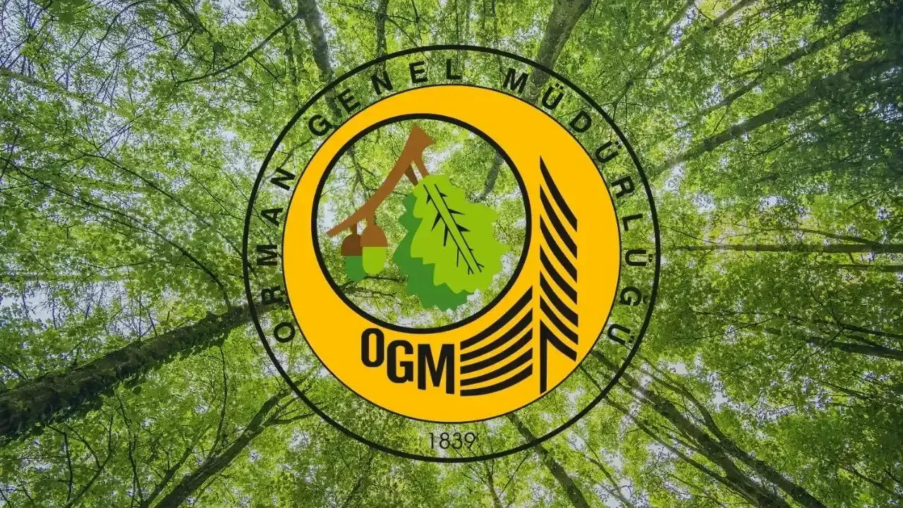 Türkiye’de 2025 Yılında 5 Bin 231 Yangın Meydana Geldi