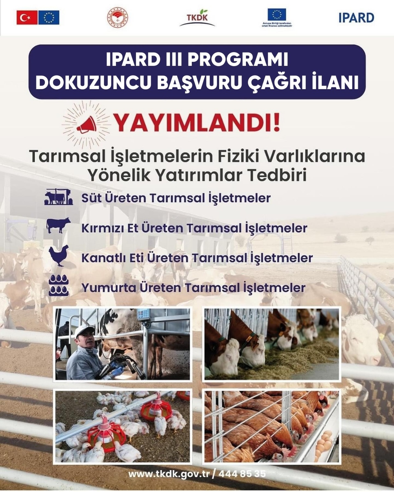 TKDK Dokuzuncu Başvuru Çağrısını Yayınladı