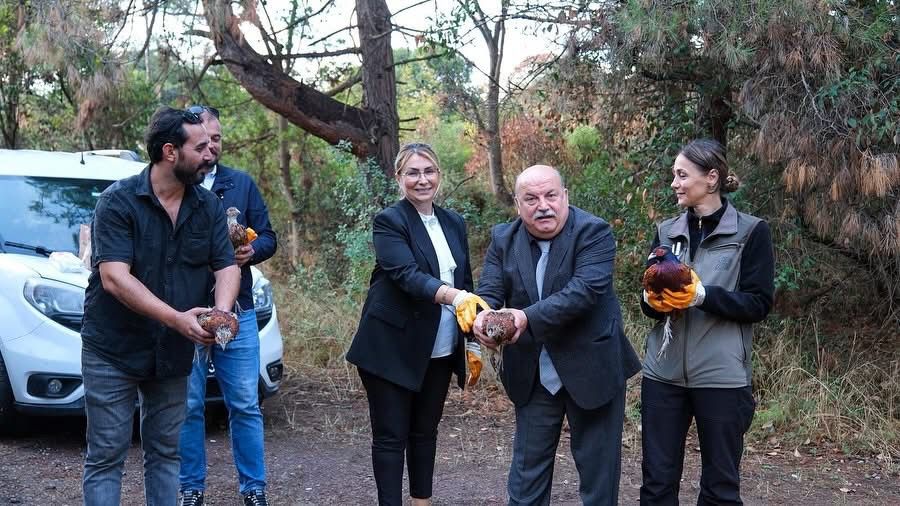 Altınova Hersek Lagünü’nde 200 Sülün Doğaya Salındı