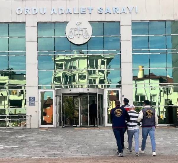 Ordu’nun Ulubey İlçesinde 140 Kilo Fındık Çalındı: Şüpheli Tutuklandı