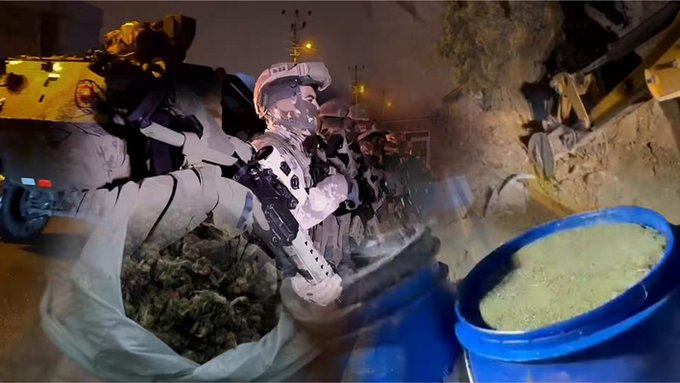 İçişleri Bakanı Ali Yerlikaya: Jandarma 29 İlde 1 Ton 628 Kilo Uyuşturucu Ele Geçirdi, 345 Şüpheli Yakalandı