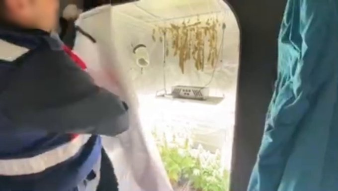 5 İlde Dev Narkotik Operasyonu: 346 Şüpheli Yakalandı