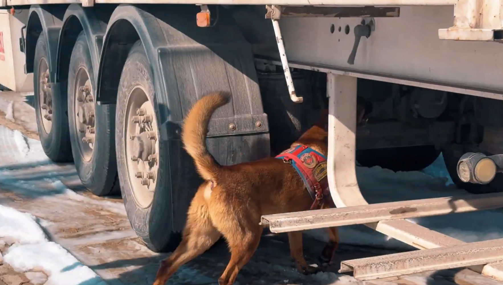 Van ve Hakkâri’de Dev Uyuşturucu Operasyonu: 406 Kilogram Madde Ele Geçirildi