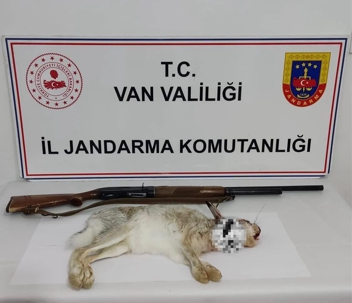 Van’da Kaçak Tavşan Avına 29 Bin TL Ceza